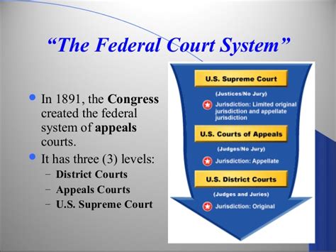 Section One The Federal Court System Adair County R 1 Social Studies