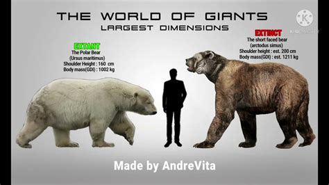 Short Faced Bear Massive Size Comparison