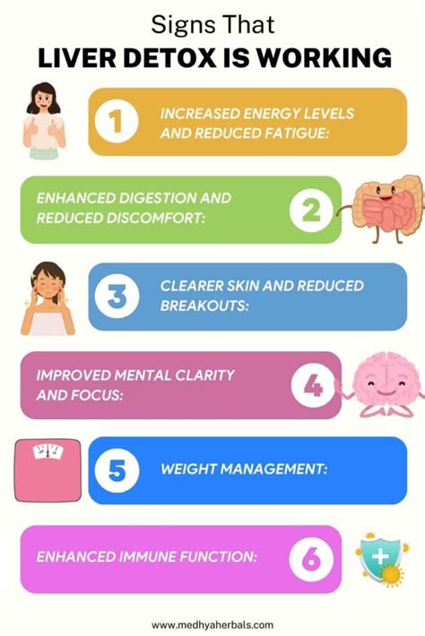 Signs Of Liver Detox Working