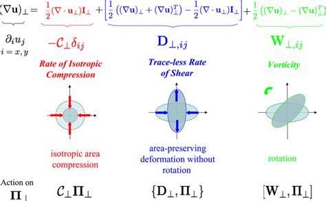 Sketch Of The Possible Deformations Induced By The 2 2 Strain Tensor
