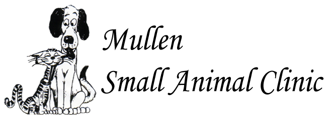 5 Tips Small Animal Clinic