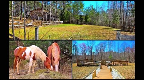 Small Horse Farms For Sale In Virginia Info Youtube