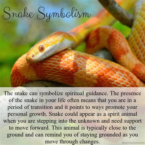 Snake Symbolic Meaning And Snake Totem On Whats Your Sign