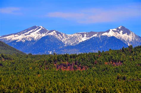 Snowcapped Mountains Flagstaff Az Free Stock Photo Public Domain Pictures