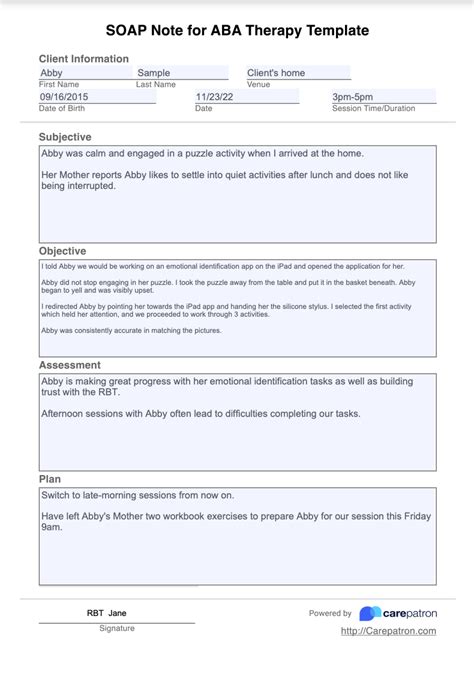Soap Notes For Aba Template Example Free Pdf Download