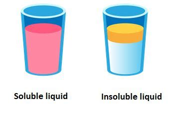 Soluble Or Insoluble Lesson Science Cbse Class 6