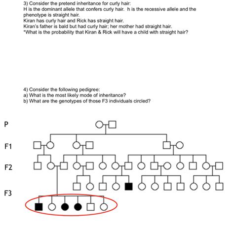 Solved 3 Consider The Pretend Inheritance For Curly Hair H Chegg Com