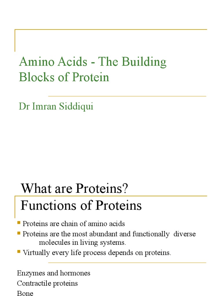 Solved Amino Acids Are The Building Blocks Of Proteins The Simplest