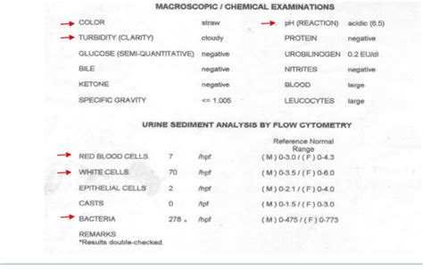 Solved Macroscopic Chemical Examinations Color Sta Ph Reaction