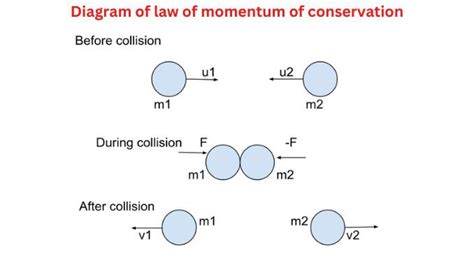 Some Conservation Of Momentum Examples Vrogue Co