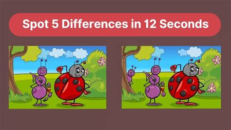 Spot The Difference You Are A Genius If You Can Spot 5 Differences