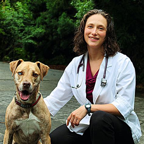 Staci Lund Dvm Emergency Vet Animal Emergency Specialty Center
