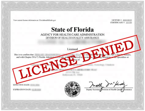 State Of Florida Medical Professional License And Medical Board Role