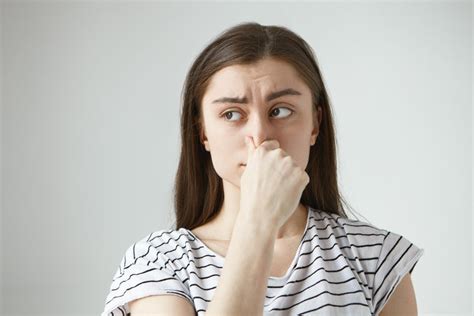 Stinks in Spanish Translation