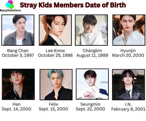 Stray Kids Members Felix Age Terry Georgina