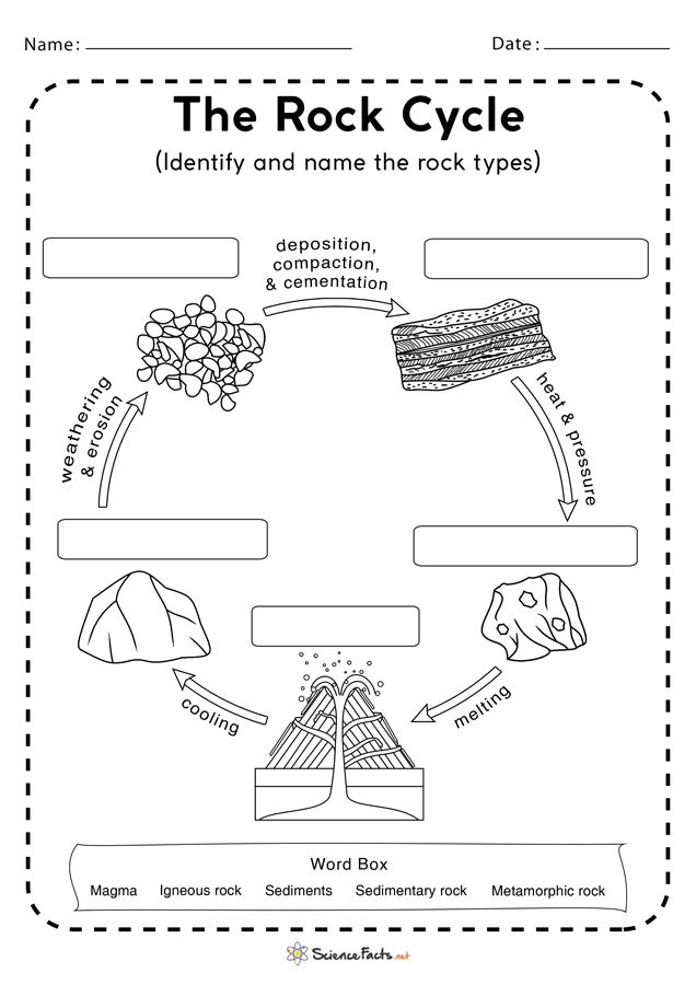 Sulfur Cycle With Diagram Definition Steps And Importance