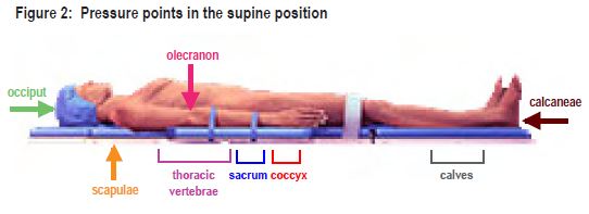 Supine Position Definition Explanation Pros And Cons Supine
