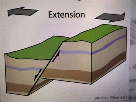 Svt Flashcards Quizlet