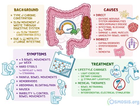 Symptoms Types Constipation
