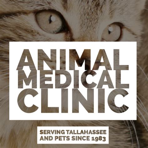 Tallahassee Fl Animal Hospital Animal Medical Clinic