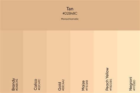 Tan Color Its Meaning Codes And Top Palette Ideas Picsart Blog