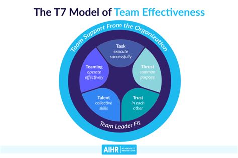 Team Effectiveness Models And Different Roles In Teams