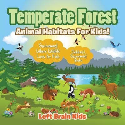 Temperate Forest Animal Habitats For Kids Environment Where Wildlife