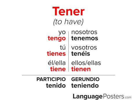 Tener Means To Have Yo Tengo Means I Have Use Only For I Ppt Descargar