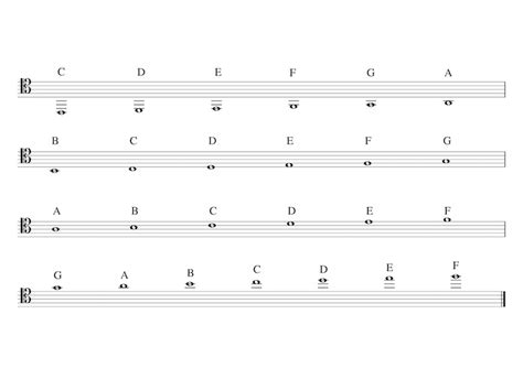Tenor Clef Omniscool