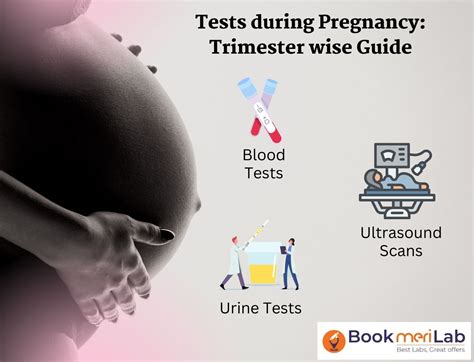 Tests During Pregnancy Trimester Wise Complete Guide 2024