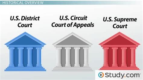 The 3 Levels Of Federal Courts Overview History Hierarchy Lesson