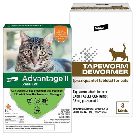 The 5 Best Dewormer Options For Cats Without A Vet Prescription Garden