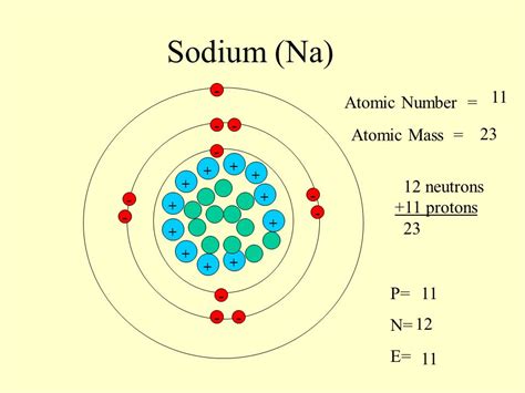 The Atomic Number Of Sodium Is 11 And Its Mass Number Is 23 It Has