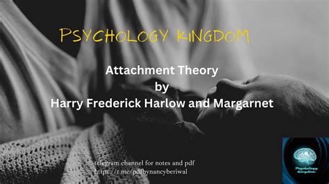 The Attachment Theory Harry Harlow And Mary Ainsworth Youtube