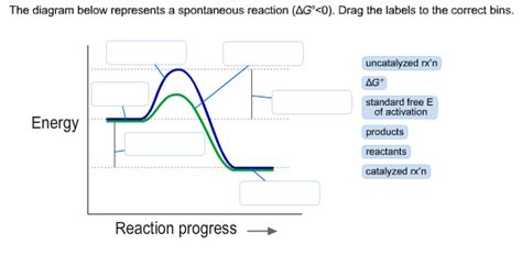 The Diagram Below Represents A Spontaneous Reaction G Wiring Diagram