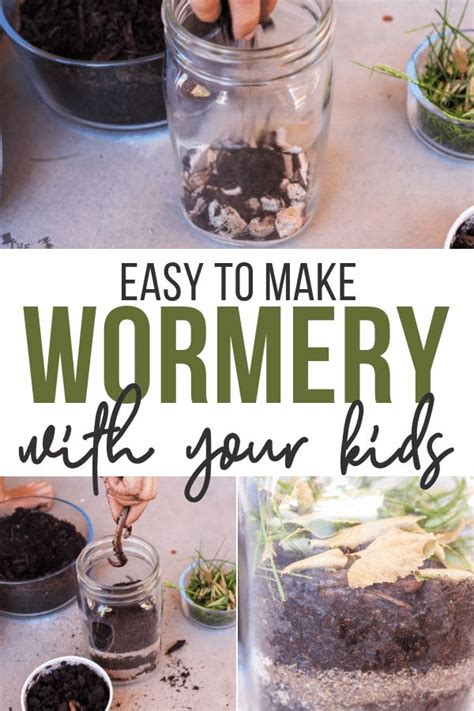 The Diy Wormery Project Make Your Own Wormery Worm Facts Worms