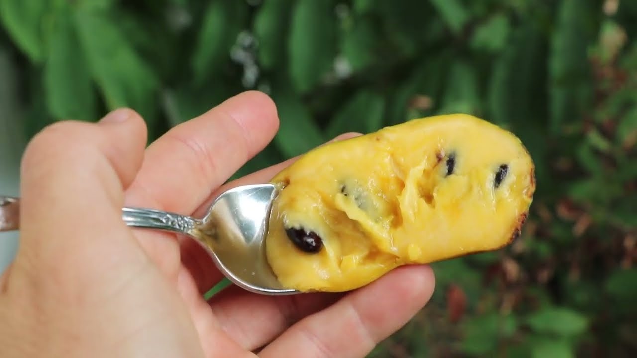 The Final Episode Of Lost Easily Explained 7 Years Later Youtube