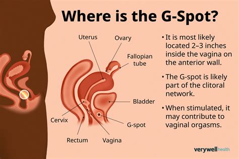 The G Spot What It Is And How To Find It