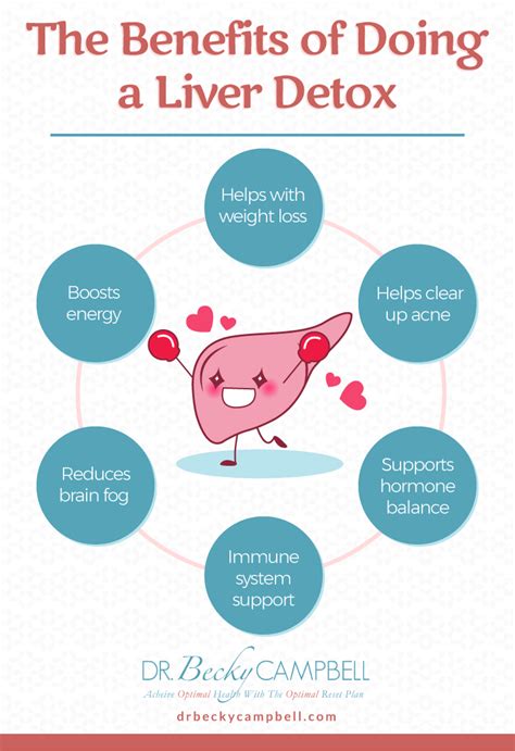 The Importance Of Liver Detox Dr Becky Campbell