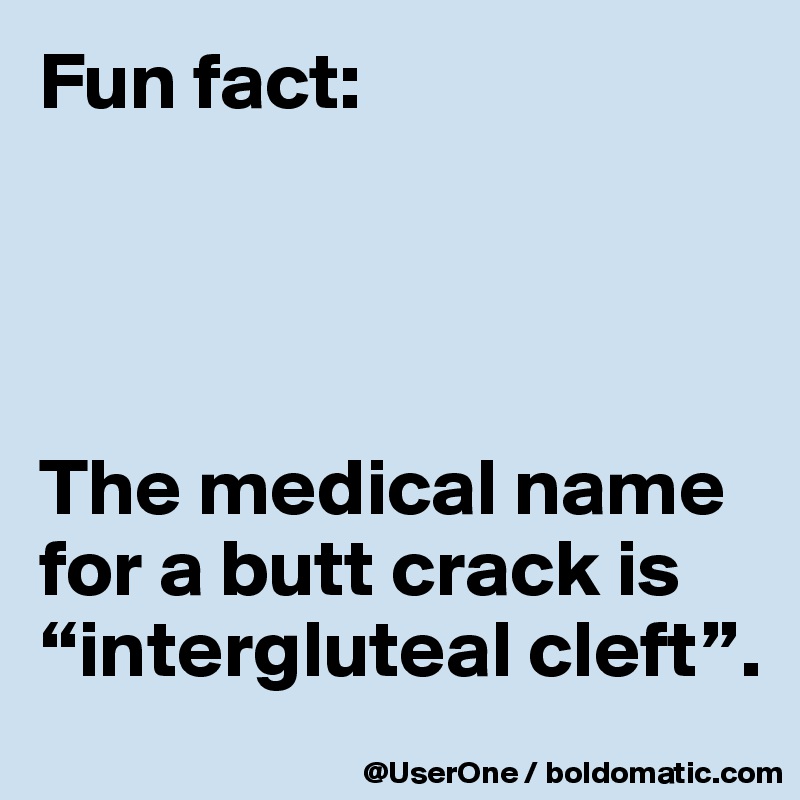The Medical Term For Butt Crack Is Intergluteal Cleft Random Facts