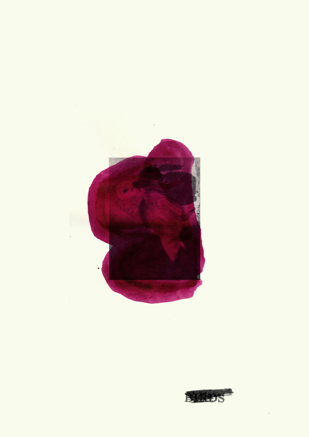 5 Ways Memory Police Work