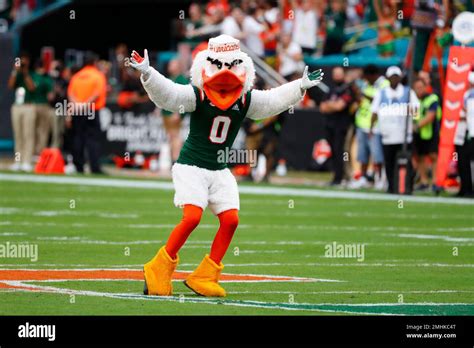 The Miami Mascot Performs During The First Half Of An Ncaa College