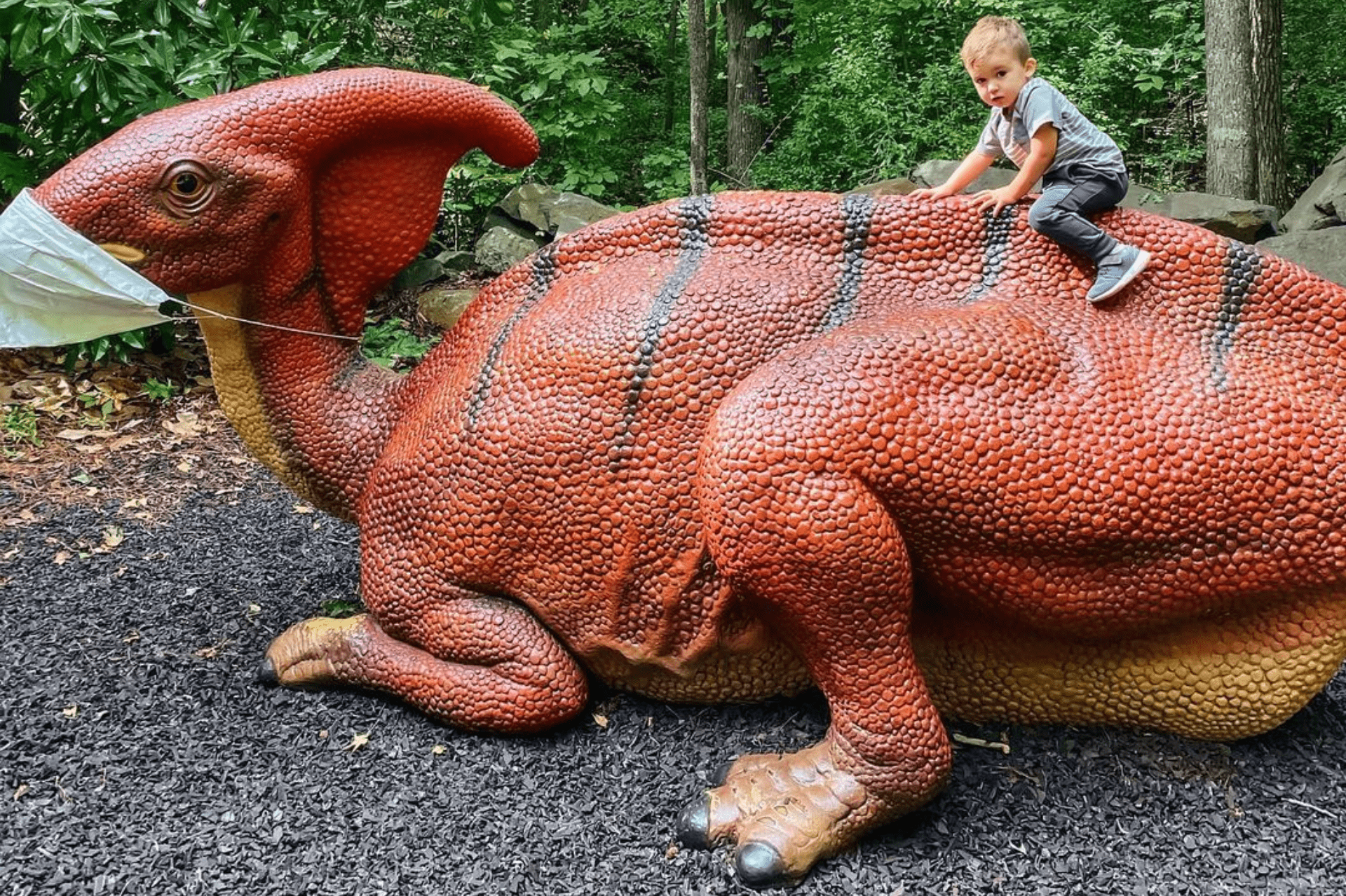 The Museum Of Life And Science Sparks Curiosity In Durham Nc Eat Play