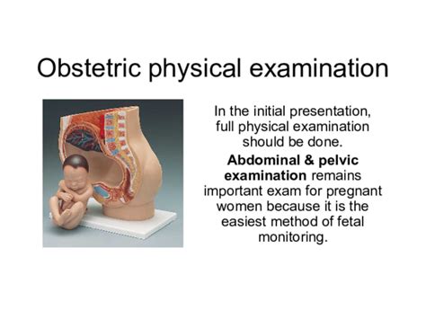 The Obstetric Examination Ppt