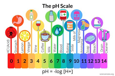 The Ph Scale In Real Life Labxchange