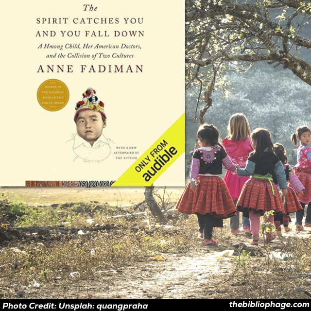 The Spirit Catches You And You Fall Down Book Review Free Essay Example