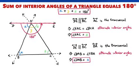 The Sum Of The Interior Angles In A Triangle Is 180 Degrees