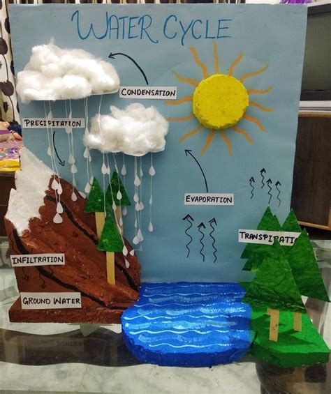 The Water Cycle Wild Ideas