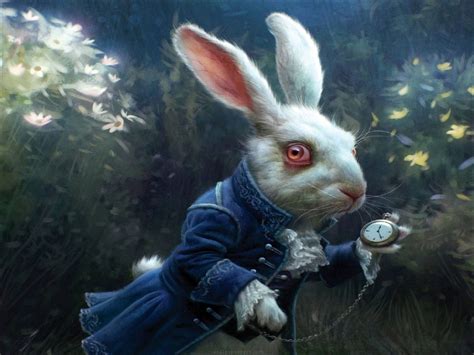 White Rabbit in Wonderland