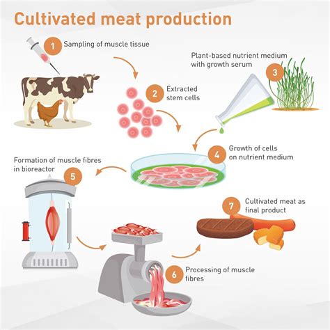 They Are Made of Meat